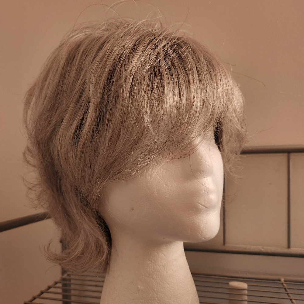Paula Young wig